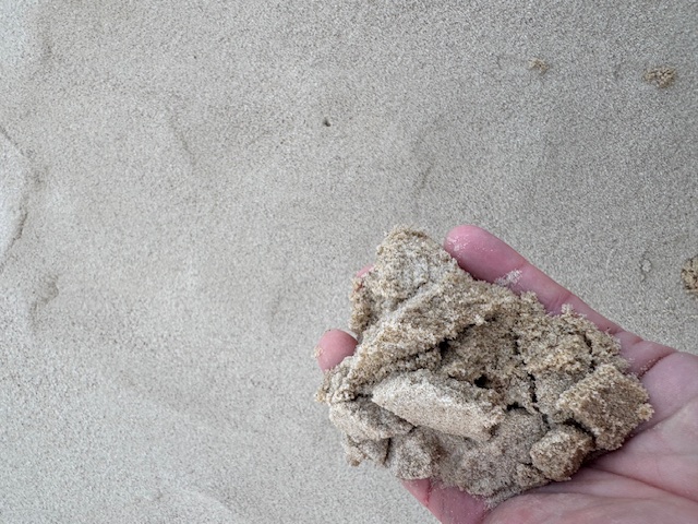 Žltý piesok - záhorácky